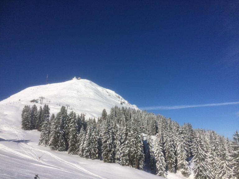 59FC629E-363A-4317-BFD9-2BB0B30BCB53