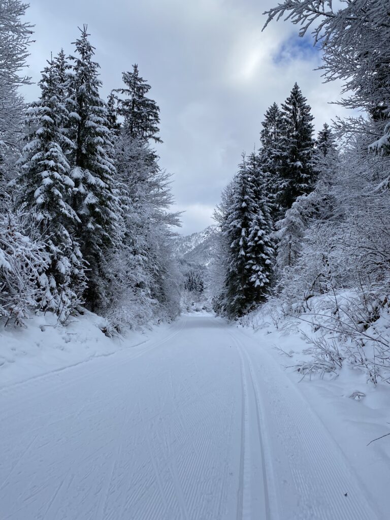 FC337197-BED5-4362-948B-23D351A3C678