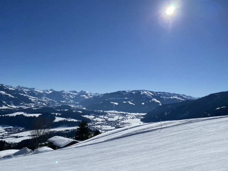 1450382C-3ACE-4206-9421-A7E74A6E59BD_1_105_c