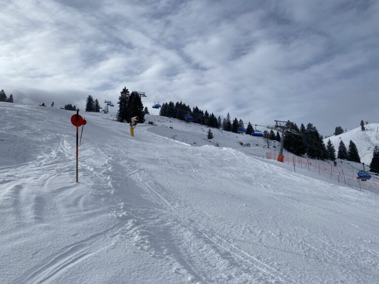 8569B5B8-657A-4894-B802-E5BE5D2FAD2E